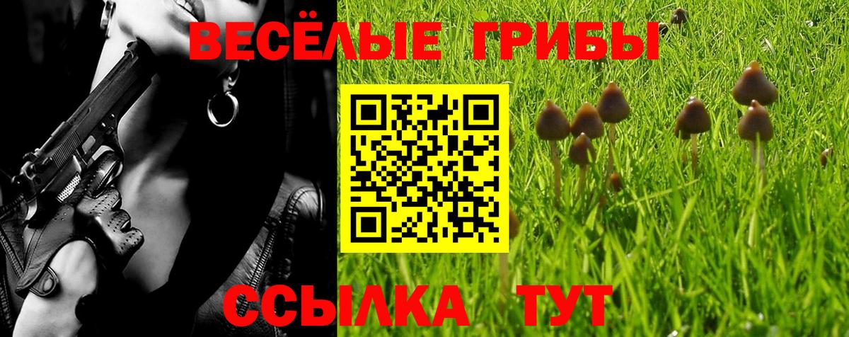 Галлюциногенные грибы Cubensis Богданович