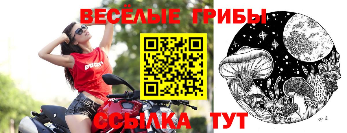 Богданович  Псилоцибиновые грибы Magic Shrooms  Вход с VPN  Галлюциногенные грибы Psilocybe 